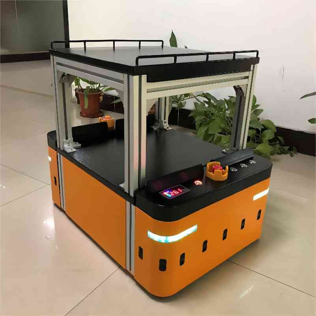 Çift Yönlü Platform Tipi AGV